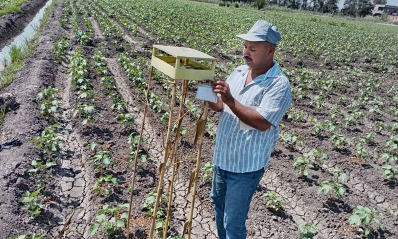 زراعة ” 19925″ فدان قطن والمرور على الزراعات بصفة دورية بزراعة البحيرة زراعة ” 19925″ فدان قطن والمرور على الزراعات بصفة دورية بزراعة البحيرة